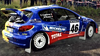 Peugeot 206 WRC Valentino Rossi livery